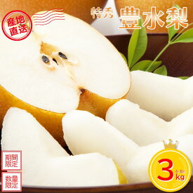 【ふるさと納税】＜先行予約＞ 蔵王町産【特秀】豊水梨3kg箱詰め　【04301-0604】