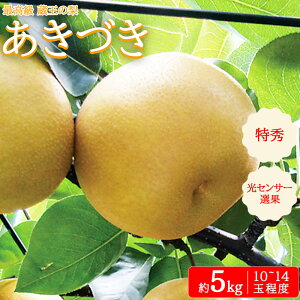 yӂ邳Ɣ[Łzys\z̗ Â 5kg GEʁ@y04301-0717z Ȃ ʕ  XC[c t[c fU[g Â W[V[ 