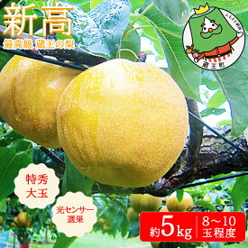 【ふるさと納税】【先行予約】蔵王の梨 新高 約5kg 特秀・大玉　【04301-0718】梨 なし 果物 くだもの スイーツ フルーツ デザート 甘い ジューシー 蔵王