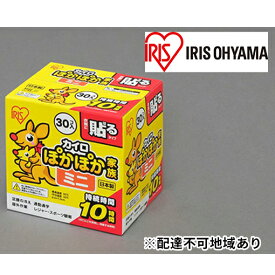 【ふるさと納税】ぽかぽか家族 貼るミニ PKN-30HM 30P×16箱　【雑貨 日用品 使い捨て】