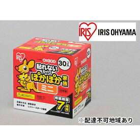 【ふるさと納税】ぽかぽか家族 ミニ PKN-30M 30P×17箱　【雑貨 日用品 使い捨て】