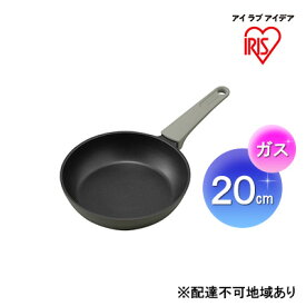 【ふるさと納税】取っ手一体型フライパン20cm（ガス）パールグレー DCF-G20　【 雑貨 調理器具 キッチン用品 ガス火 ダイヤモンドコーティング 】