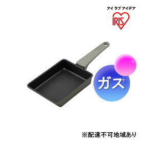 【ふるさと納税】取っ手一体型エッグパン（ガス）パールグレー DCEG-G　【 雑貨 調理器具 キッチン用品 卵焼き ガス火 ダイヤモンドコーティング 】