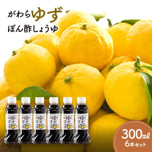 yӂ邳Ɣ[Łz䂸ۂ|傤300ml×6{Zbg  || Y Mq  ݖ 10,000~䂨ߕԗi