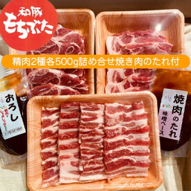 【ふるさと納税】もちぶた 肩ロース 2種 500g 詰め合わせ セット 焼き肉のたれ付 ロース バラ ソテー 焼肉 焼肉のたれ おろし醤油 味噌 和豚 もち豚 豚肉 ポーク お肉 肉 豚 ぶた 豚ロース バラ肉 精肉 アウトドア キャンプ バーベキュー 冷蔵 宮城　【 大河原町 高評価 】