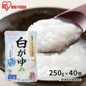 yӂ邳Ɣ[ŁzyhЁz 250g×40 ACXI[} gg k ЊQ 펞  ~ ΍ XgbN H ̒s Hו ቷ@ Y RVqJ 퉷ۑ H 