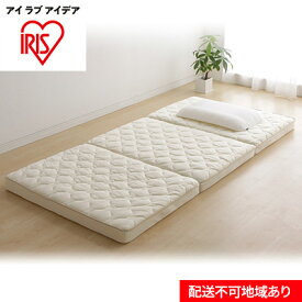 【ふるさと納税】エアリーハイブリッドマットレス HB90-S　【 寝具 マット マットレス 敷布団 アイリスオーヤマ 】