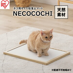 yӂ邳Ɣ[ŁzLp ]y}bg CX}bg NECOCOCHI NCC-45 i` ACXI[} ybg  K pi VRf Sn xbh { mAXxXg ˂ lR Lpi Lp