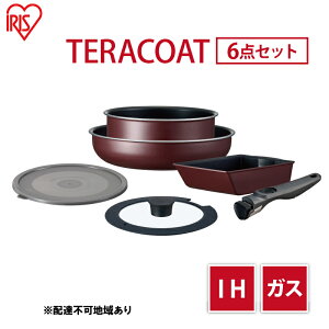 yӂ邳Ɣ[ŁztCp Zbg TERACOAT 6_Zbg EHDC-T6S ACXI[} IH ih KX IHΉ  Ă GbOp W  肪  tCpZbg ̓ Mtg 