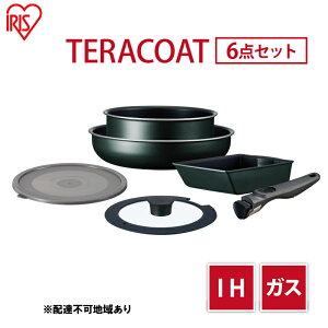 yӂ邳Ɣ[ŁztCp Zbg TERACOAT 6_Zbg EHDC-T6S ACXI[} IH ih KX IHΉ  Ă GbOp W  肪  tCpZbg ̓ Mtg 
