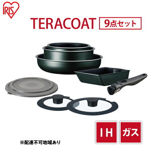 yӂ邳Ɣ[ŁztCp Zbg TERACOAT 9_Zbg EHDC-T9S ACXI[} IH ih KX IHΉ  Ă GbOp W  肪  tCpZbg ̓ Mtg 