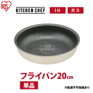 yӂ邳Ɣ[ŁztCp ihΉ _ChR[gp IHtCp20cm DCI-T20F AC{[ ACXI[} ih KXΑΉ 20cm 肪 M  킢 V Pi