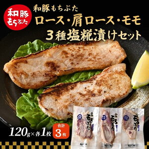 yӂ邳Ɣ[Łza Ԃ ЂZbg ([X [X j120g×e1  ؓ |[N    Ԃ u^   H AEghA