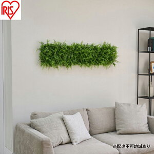 yӂ邳Ɣ[ŁzDECO GREEN EH[pl WG-50A AWA^ 3Zbg tFCNO[ Ǌ| ACXI[} EH[O[ 25×25cm ` CeA  ǖʗΉpl l
