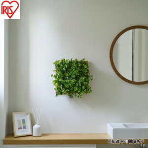 yӂ邳Ɣ[ŁzDECO GREEN EH[pl WG-50M i`~bNX 3Zbg tFCNO[ Ǌ| ACXI[} EH[O[ 25×25cm ` CeA  ǖʗΉp