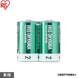 yӂ邳Ɣ[Łzdr BIGCAPA basic plus AJdr P2`2{pbN LR14Bbp/2S dr P2 2{pbN 10N h p hЗpi