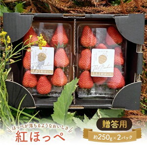 �y�ӂ邳�Ɣ[�Łz��͌����̂����� ���n������ 2�p�b�N �ʕ� �t���[�c � �g�ق��� ������ �݂��݂����� �W���[�V�[ ���Ԍ��� �G�ߌ��� ������ ������