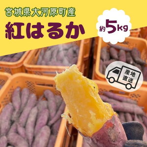 yӂ邳Ɣ[Łz܂ 5kg g͂邩 Tc}C {錧Y Â H ~ XC[c  Yn {錧 ͌@͂F2025N111`2026N228