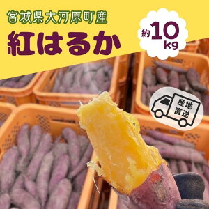 yӂ邳Ɣ[Łz܂ 10kg g͂邩 Tc}C {錧Y Â H ~ XC[c  Yn {錧 ͌@͂F2025N111`2026N228
