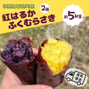 yӂ邳Ɣ[Łz܂ 5kg 2l g͂邩 ӂނ炳 Tc}C {錧Y Â H ~ XC[c Yn {錧 ͌@͂F2025N111`2026N228