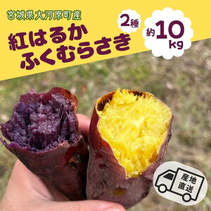 yӂ邳Ɣ[Łz܂ 10kg 2l g͂邩 ӂނ炳 Tc}C {錧Y Â H ~ XC[c Yn {錧 ͌@͂F2025N111`2026N228