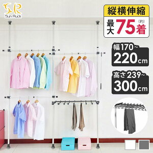 �y�ӂ邳�Ɣ[�Łz�˂�����_ �n���K�[���b�N 2�i ��170-220cm �L�k �ω׏d100kg �������� �V��˂����莮 ���ς�_ �����O �|�[���n���K�[ ���� �� �ߗ� ���[ �������� ���������� �������� ��