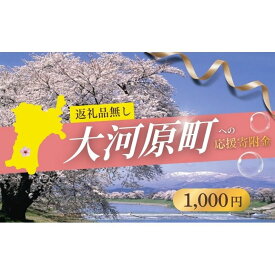 【ふるさと納税】【返礼品なし応援寄附】宮城県大河原町（1,000円）
