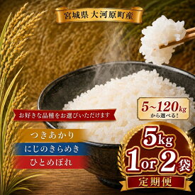 【ふるさと納税】令和8年産 ひとめぼれ 新米 先行予約 5kg 10kg 1,2,3,6,12回 内容量と回数を選べる 宮城県大河原町産 お米 精米 白米 こめ コメ 宮城県産　お届け：2026年10月中旬頃から順次発送予定
