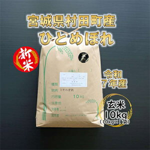 yӂ邳Ɣ[ŁzyVāzߘa7NY ЂƂ߂ڂ 10kg {錧cYy1545917z