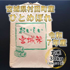 yӂ邳Ɣ[Łzߘa7NY ЂƂ߂ڂ 30kg {錧cYy1576073z