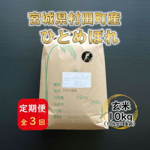 yӂ邳Ɣ[Łzyցz{錧cYЂƂ߂ڂ@10kg(10kg×1)S3y4074967z