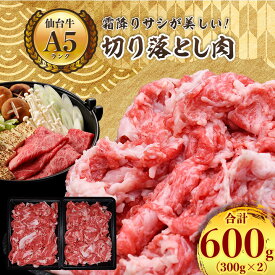 【ふるさと納税】【A5ランク仙台牛】牛肉の切り落とし 合計600g(300g×2) 小分けで使い勝手も◎_ お肉 肉 焼肉 すき焼き しゃぶしゃぶ 赤身 霜降り 【配送不可地域：離島】【1206297】