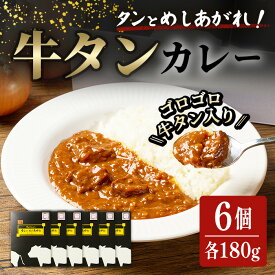【ふるさと納税】 牛タンカレー「タンとめしあがれ」6個セット 牛タン 牛たん 牛肉入り レトルトカレー レトルト カレー カレーライス ビーフカレー ごはん ご飯 お弁当【はらから福祉会】sh093