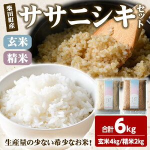 �y�ӂ邳�Ɣ[�Łz�y�ߘa7�N�Y�z�T�T�j�V�L ���� ���� �Z�b�g ���v6kg�i����4kg/����2kg�j �ēc���Y ���� ������ �� �R�� ���� ���� ���͂� ���ɂ��� ���ٓ� �y���΂��̖���������Ёzsh012