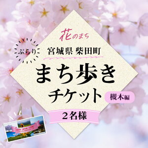 yӂ邳Ɣ[ŁzԂƗj̍ēc Ԃ܂ Ζؕҁi2lj ̌ ό U KChcA[ y΂̖zsh019