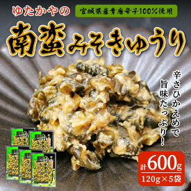 【ふるさと納税】ゆたかやの 南蛮みそ きゅうり漬け 120g×5袋 牛タンのお供に 青唐辛子 青とうがらし 南蛮 味噌漬け なんばん味噌 漬物 きゅうり おつまみ おかず【豊屋食品工業株式会社】sh195