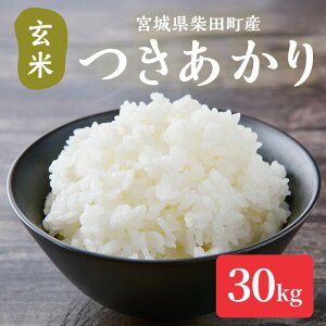 �y�ӂ邳�Ɣ[�Łz�y�ߘa7�N�Y�z�������� ���� 30kg �ēc���Y ���� ������ �� �R�� ���� ���͂� ���ɂ��� ���ٓ� �y���Α��z sh129