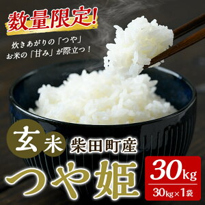 yӂ邳Ɣ[Łz2026N1ȍ~\Iyߘa7NY VāzP  30kg ēcY ʌ    R  ͂ ɂ ٓ y_zsh143