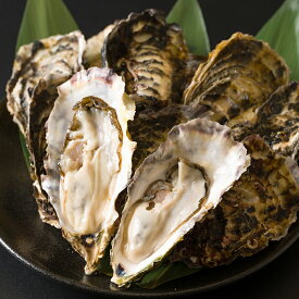 【ふるさと納税】殻付き牡蠣（生食用）冷凍 選べる内容量 2kg～5kg 生牡蠣 宮城県産 牡蛎 牡蠣 カキ かき 生食 オイスター カキフライ 牡蠣鍋 海鮮 国産 魚貝類 バーベキュー BBQ【カタクチ商店株式会社】sh183・sh184・sh185・sh186