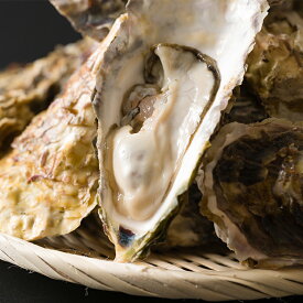 【ふるさと納税】≪先行予約受付中！≫殻付き牡蠣（生食用）冷蔵 選べる内容量 2kg～5kg 生牡蠣 宮城県産 牡蛎 牡蠣 カキ かき 生食 オイスター カキフライ 牡蠣鍋 海鮮 国産 魚貝類 バーベキュー BBQ【カタクチ商店株式会社】sh179・sh180・sh181・sh182