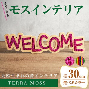 yӂ邳Ɣ[Łz XCeAuWELCOMEv300mmE80mmE15mm tNVEJt IׂJ[ ϗtA  RP eX CeA A yсz sh027-AEsh027-B