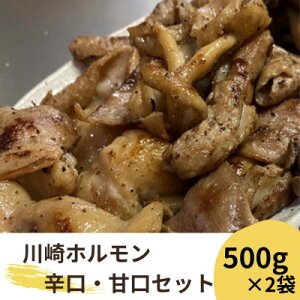 【ふるさと納税】川崎ホルモン 計1kg(500g2〜3人前×2袋) (濃厚ニンニク生タレ『甘口』『辛口』付) 【配送不可地域:離島】【1472982】