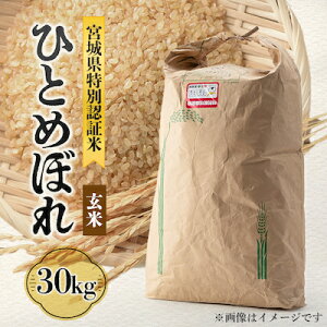 yӂ邳Ɣ[Łz{錧蒬Y ЂƂ߂ڂ()30kgy1080298z