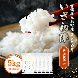 【ふるさと納税】特別栽培米 令和5年丸森町産 コシヒカリ｜ いざ初陣 5kg（1kg×5個） 新米 減農薬 東北 宮城 高級 ブランド 米 送料無料 祝い 贈答 入学