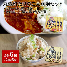 【ふるさと納税】たけのこカレー1人前×3個 たけのこごはんの素3合×3個 合計6個セット｜丸森自慢のたけのこ 具材ゴロゴロ レトルト食品 パウチ 炊き込みご飯 炊込み 手軽 筍 ご飯 人気 簡単 常温保存【08104】
