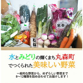 【ふるさと納税】季節のおすすめ野菜おまかせ詰め合わせBOX 8種～12種類 大満足サイズ｜野菜 まとめ買い おまかせ 詰め合わせ 直送 バーベキュー【16102】