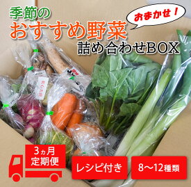 【ふるさと納税】季節のおすすめ野菜おまかせ詰め合わせ3ヵ月定期便 8種～12種類 野菜セット 送料無料｜野菜 まとめ買い おまかせ 詰め合わせ 直送 バーベキュー 定期便【16103】