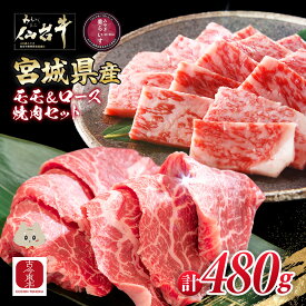 【ふるさと納税】【古今東北】 宮城県産 特選仙台牛 A5ランク 美らいす和牛 焼き肉用セット（モモ・ロース） 480g（ロース 200g / もも 280g） | 専用箱発送 黒毛和牛 和牛 国産和牛 ブランド牛 繊細 上品 冷凍 霜降り 牛肉 お取り寄せ 宮城県 丸森町 丸森【30006AA0101】