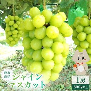 yӂ邳Ɣ[Łzs2025N10{`11{oׁt {錧ېXY VC}XJbg@1[(1[ 600gȏ)|{錧 { ېX ېX VC}XJbg Ԃǂ uhE  600gȏ 1[ t