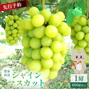 �y�ӂ邳�Ɣ[�Łz�y��s�\��z�s2026�N9�����{�`11�����{�o�ׁt �{�錧�ېX���Y �V���C���}�X�J�b�g�@1�[(1�[ 600g�ȏ�)|�{�錧 �{�� �ېX�� �ېX �V���C���}�X�J�b�g �Ԃǂ� �u�h�E ���� 600g��